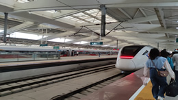 文明旅游暨诚信宣传主题活动在海南多家景点举行
