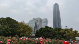 北京在新发地采集的517件样品中，有45人咽拭子阳性